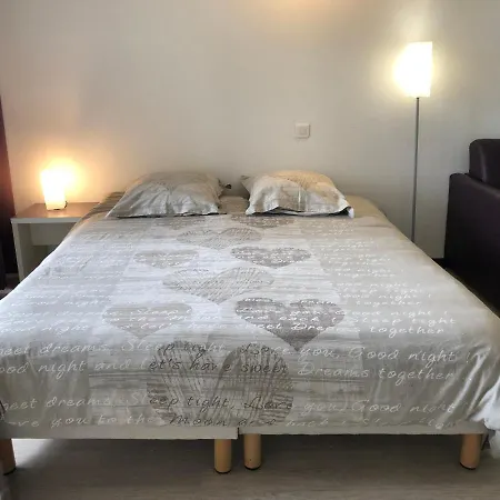 100 M Gare - 4 Places Avec Balcon 10mn Sanctuaire 루르드